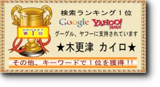 ランキング1位 ランキング1位