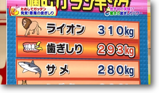 歯ぎしりの力 歯ぎしりの力