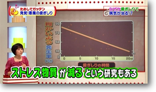 ストレス発散 ストレス発散
