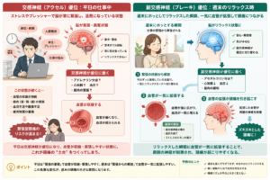 週末や休日に起きる頭痛の原因と自律神経の乱れ